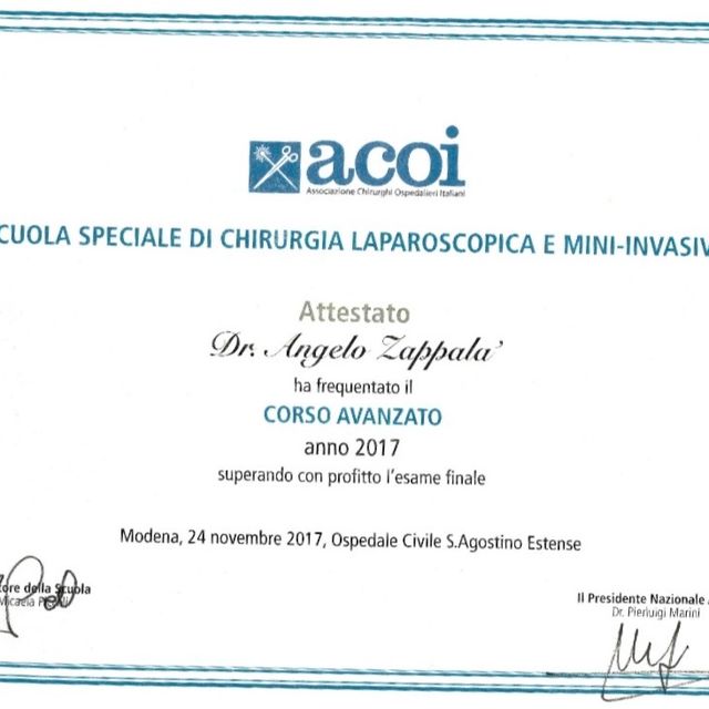 Ingrandire l'immagine: certificate 2