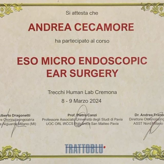Ingrandire l'immagine: certificate 4