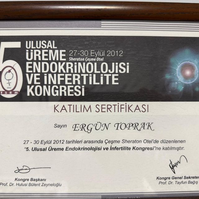 Resmi büyüt: certificate 24