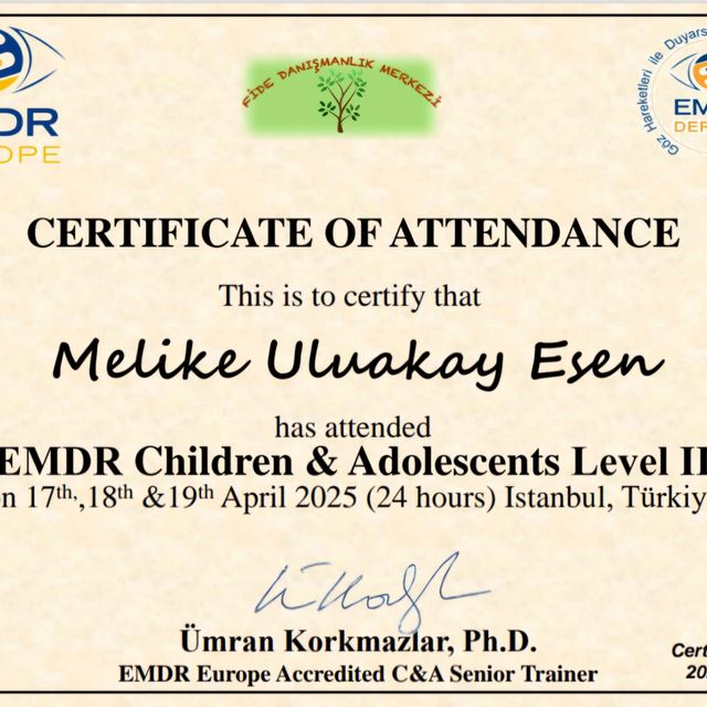 Resmi büyüt: certificate 28