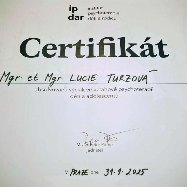 Zvětšit obrázek: certificate 10