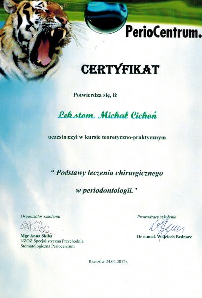 Powiększ obraz: certificate 6