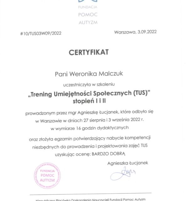 Powiększ obraz: certificate 1