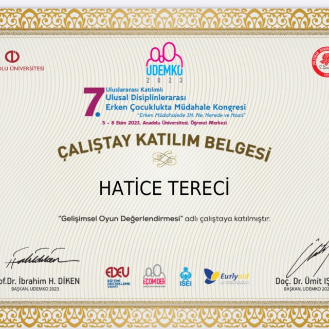 Resmi büyüt: certificate 9