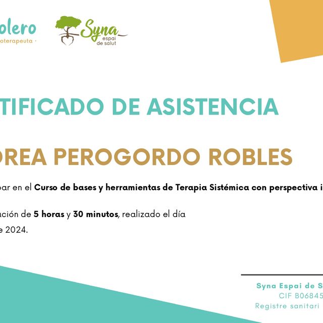 Acercar imagen: certificate 3