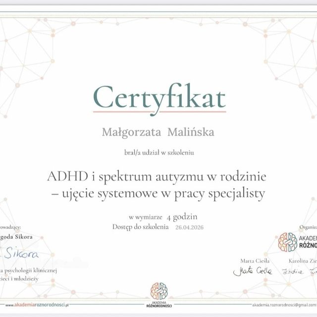 Powiększ obraz: certificate 2