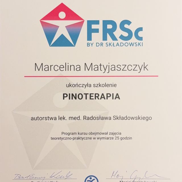 Powiększ obraz: certificate 2