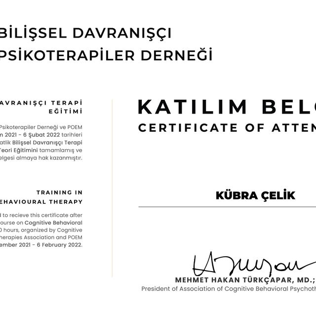 Resmi büyüt: certificate 3