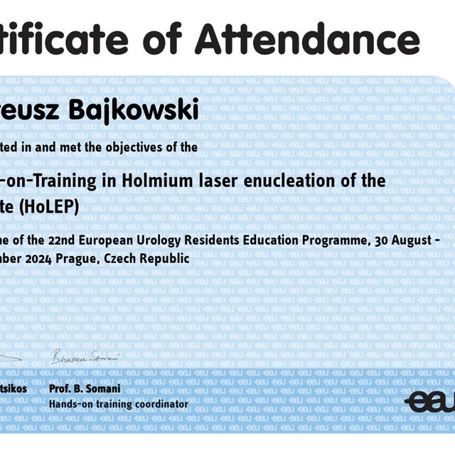 Powiększ obraz: certificate 2