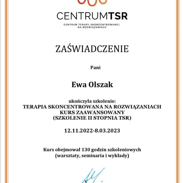 Powiększ obraz: certificate 1