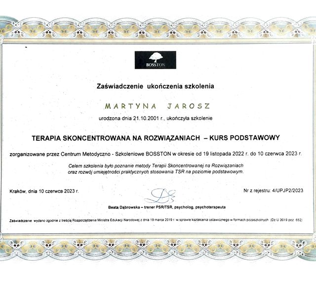Powiększ obraz: certificate 1