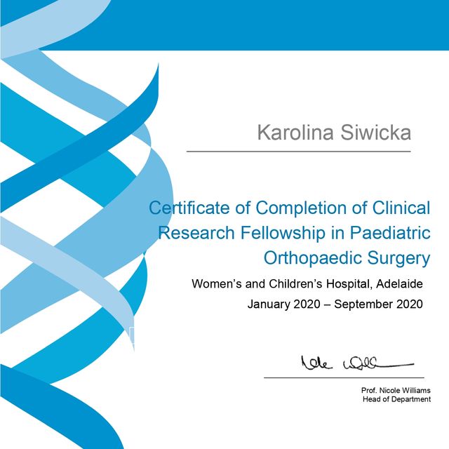 Powiększ obraz: certificate 4