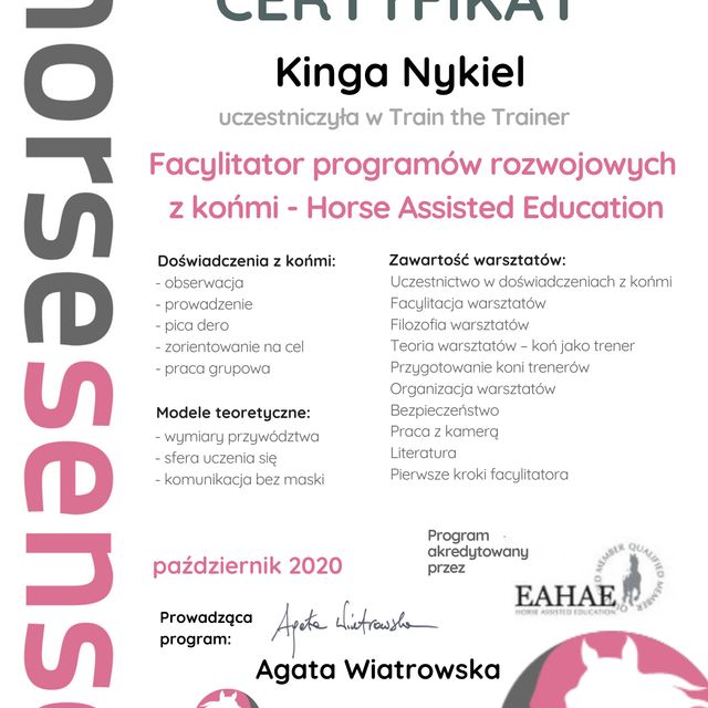 Powiększ obraz: certificate 4