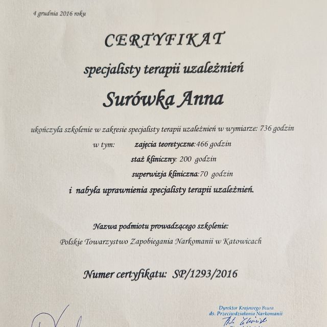 Powiększ obraz: certificate 1