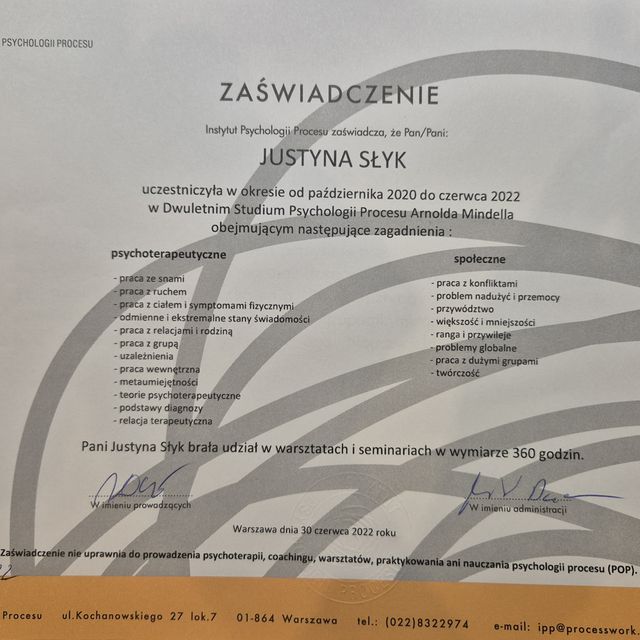 Powiększ obraz: certificate 2