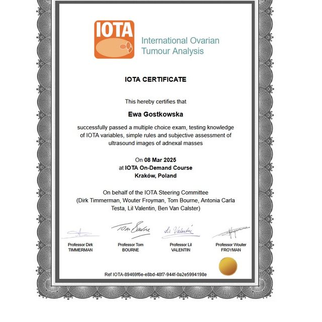 Powiększ obraz: certificate 3