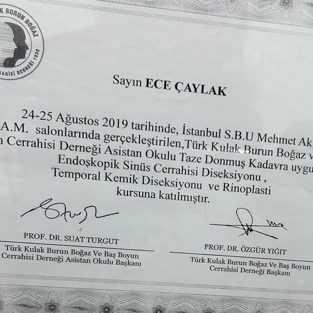 Resmi büyüt: certificate 6