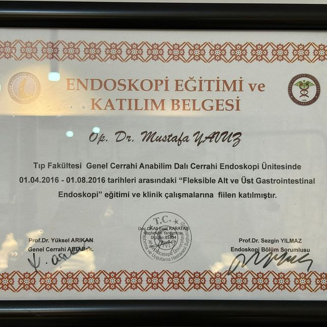Resmi büyüt: certificate 9
