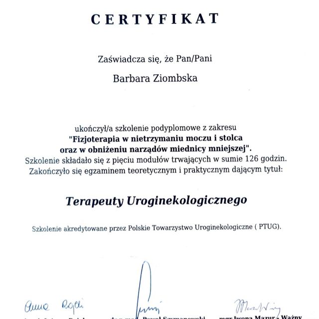 Powiększ obraz: certificate 1