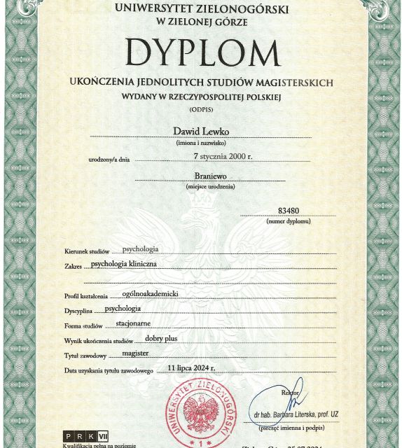 Powiększ obraz: certificate 1
