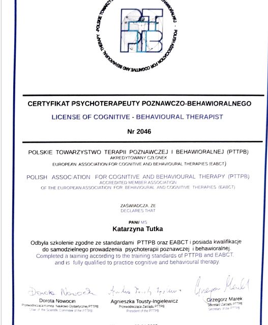 Powiększ obraz: certificate 1