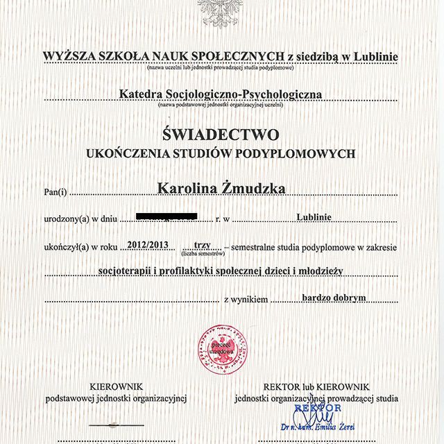 Powiększ obraz: certificate 8