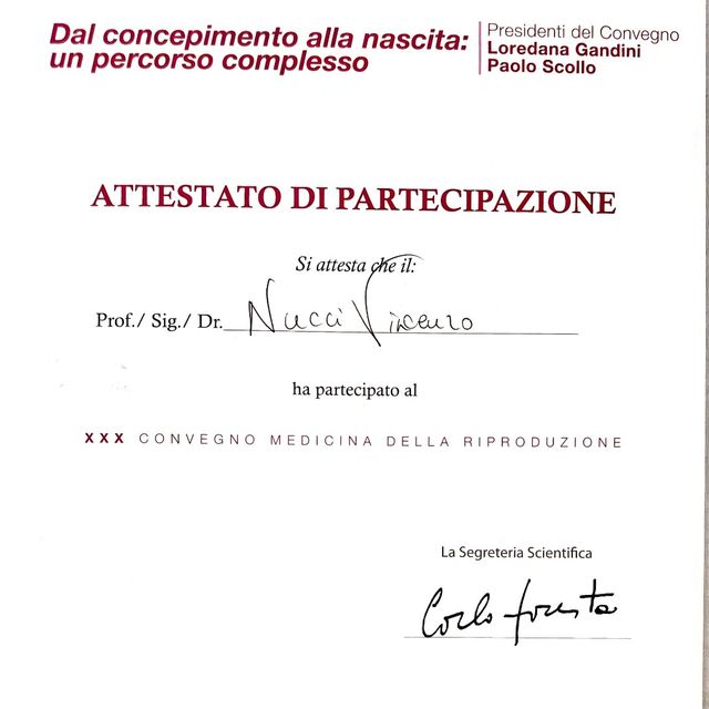 Ingrandire l'immagine: certificate 93