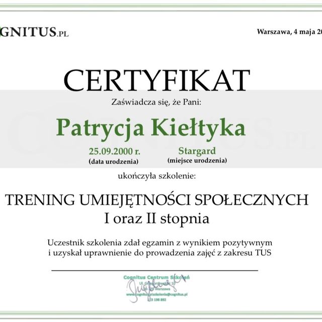 Powiększ obraz: certificate 3