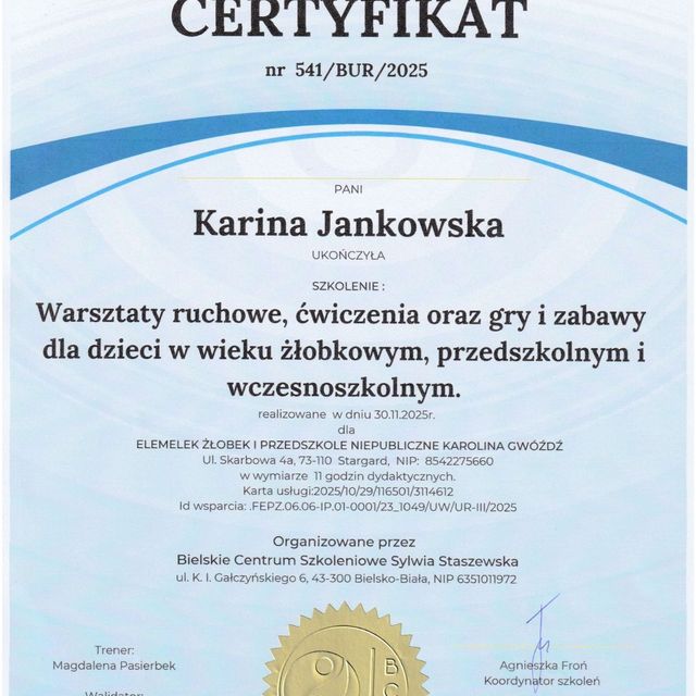 Powiększ obraz: certificate 1