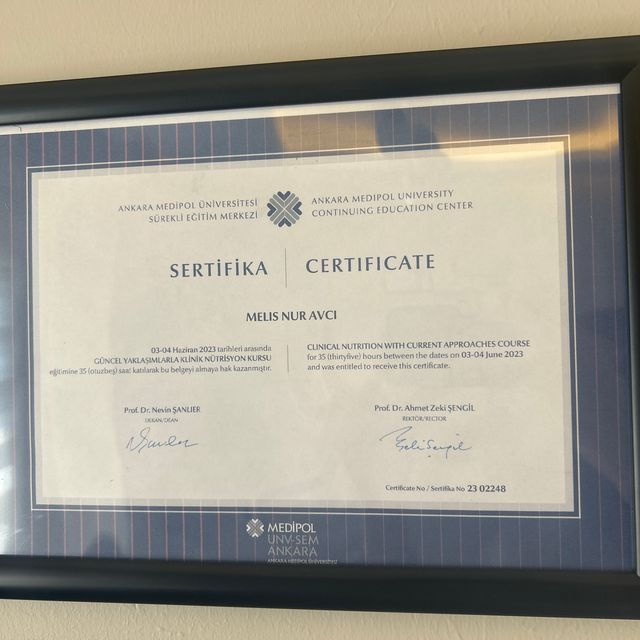 Resmi büyüt: certificate 3