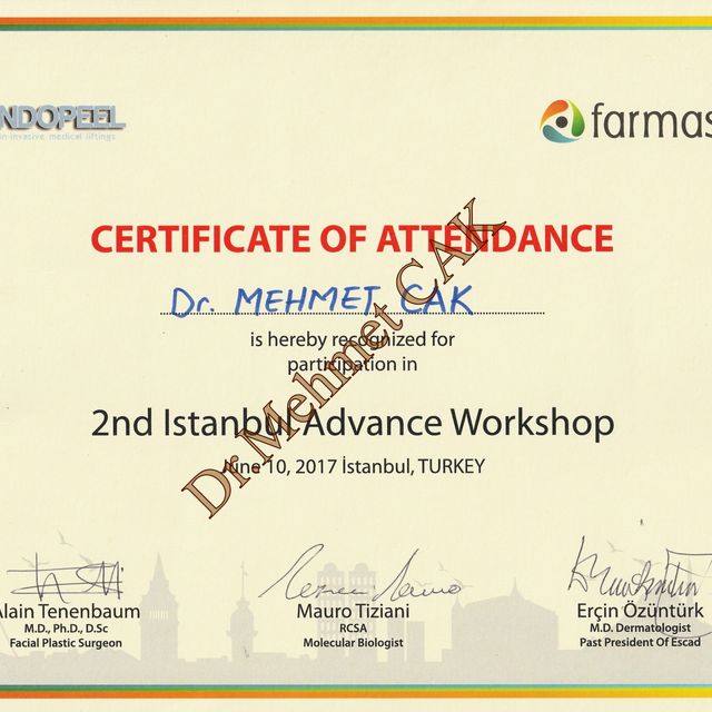 Resmi büyüt: certificate 6