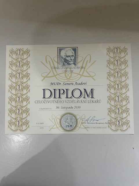 Zvětšit obrázek: certificate 1