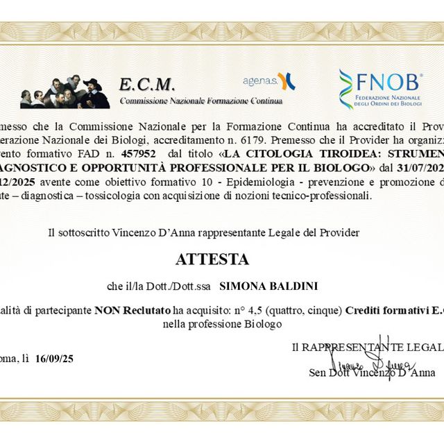 Ingrandire l'immagine: certificate 11