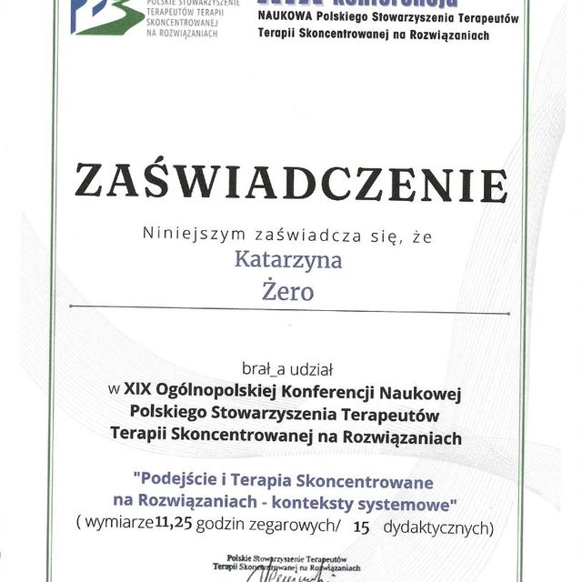 Powiększ obraz: certificate 1