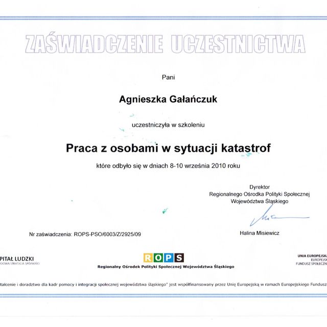 Powiększ obraz: certificate 6