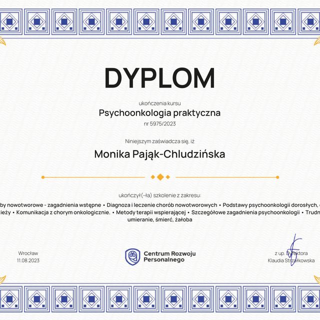 Powiększ obraz: certificate 4