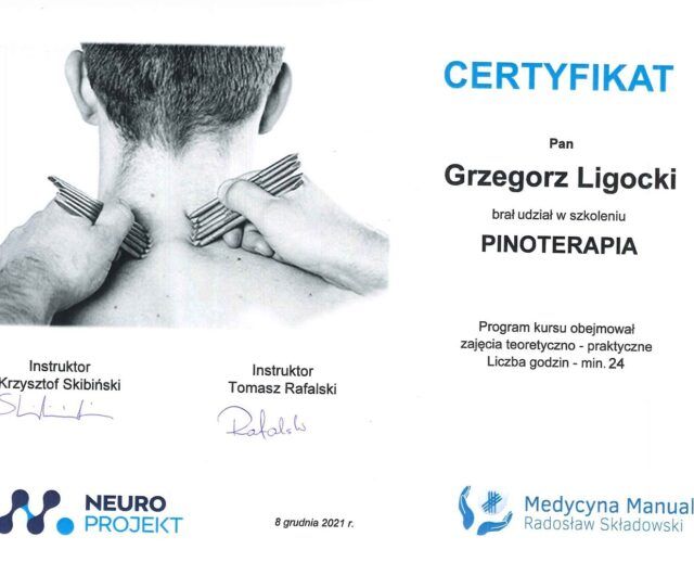 Powiększ obraz: certificate 1