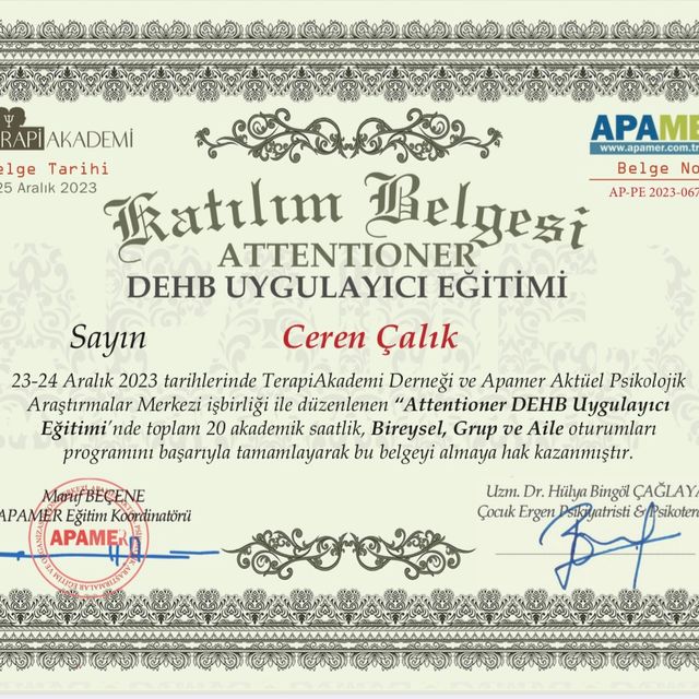 Resmi büyüt: certificate 13