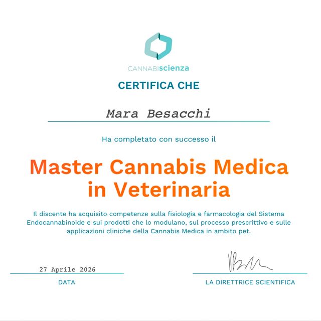 Ingrandire l'immagine: certificate 3