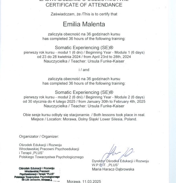 Powiększ obraz: certificate 1