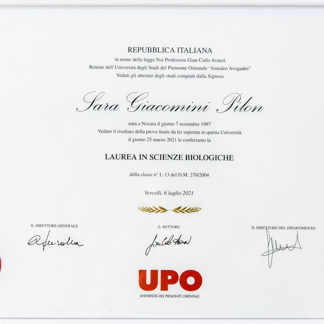 Ingrandire l'immagine: certificate 2