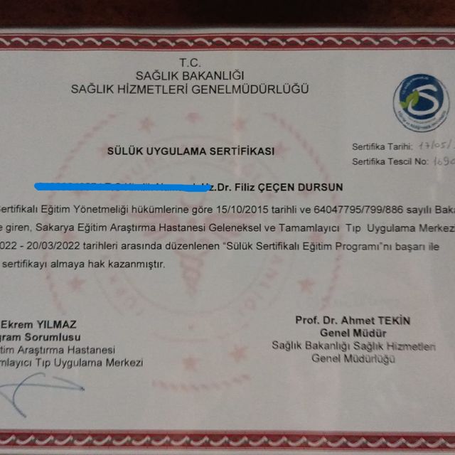 Resmi büyüt: certificate 2