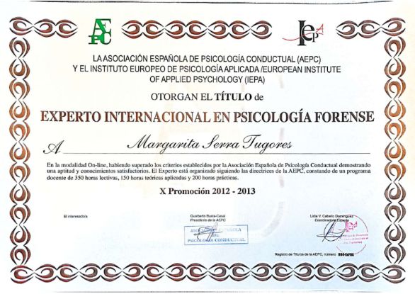 Acercar imagen: certificate 5