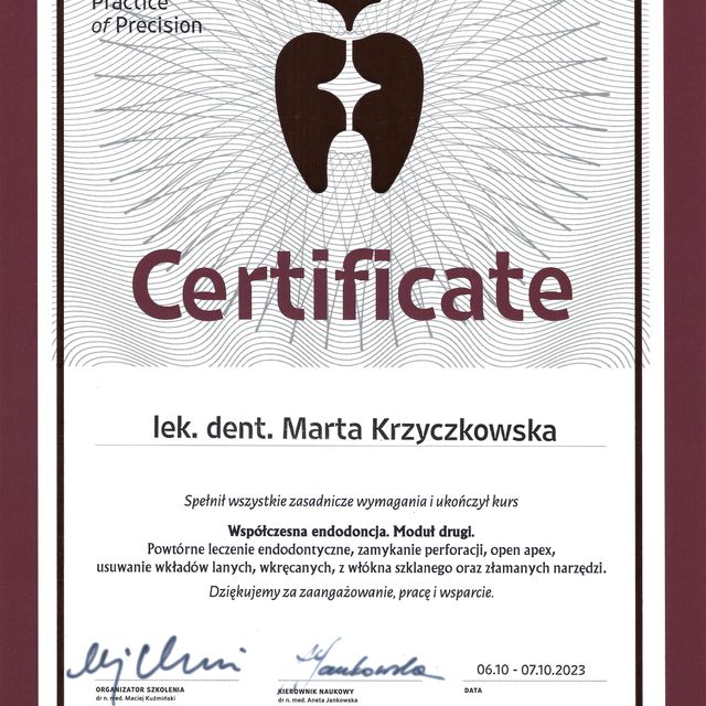 Powiększ obraz: certificate 13