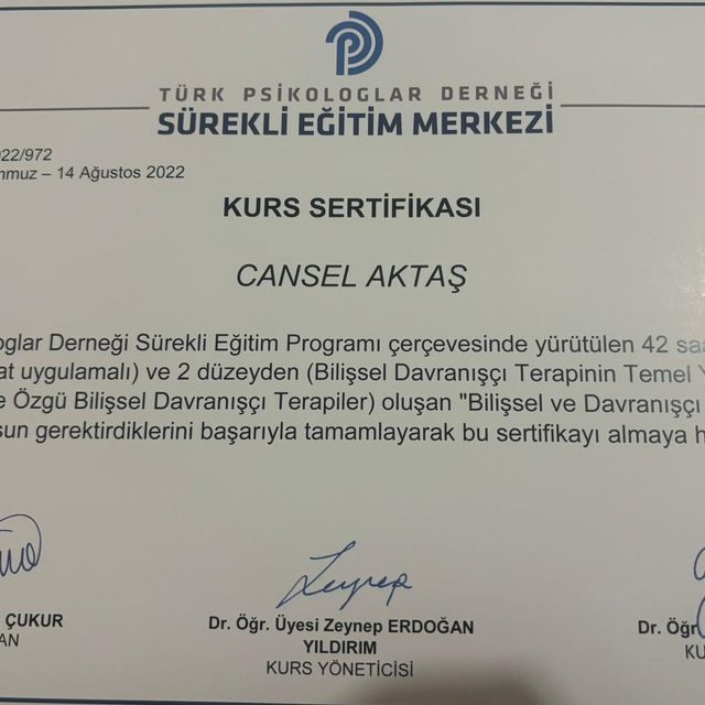 Resmi büyüt: certificate 2