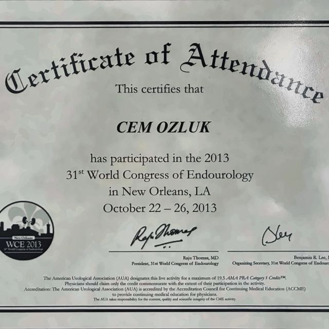 Resmi büyüt: certificate 9