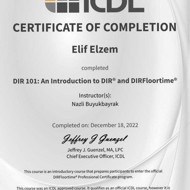 Resmi büyüt: certificate 1