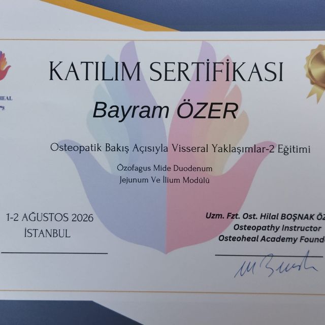 Resmi büyüt: certificate 2