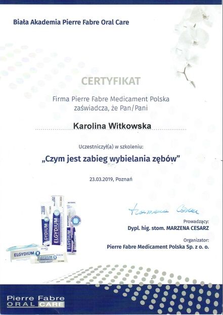 Powiększ obraz: certificate 7