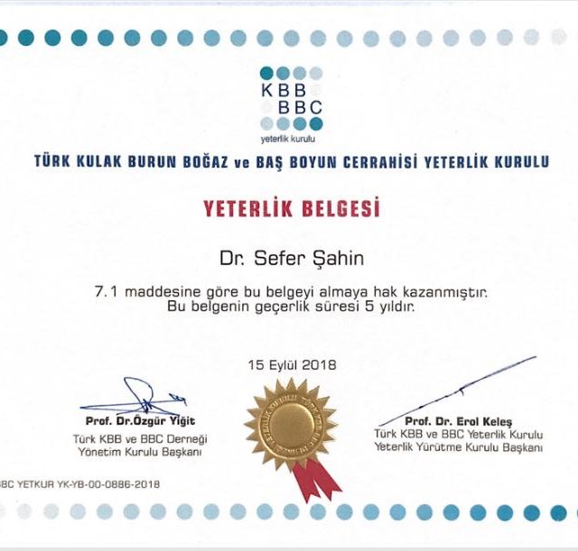 Resmi büyüt: certificate 1